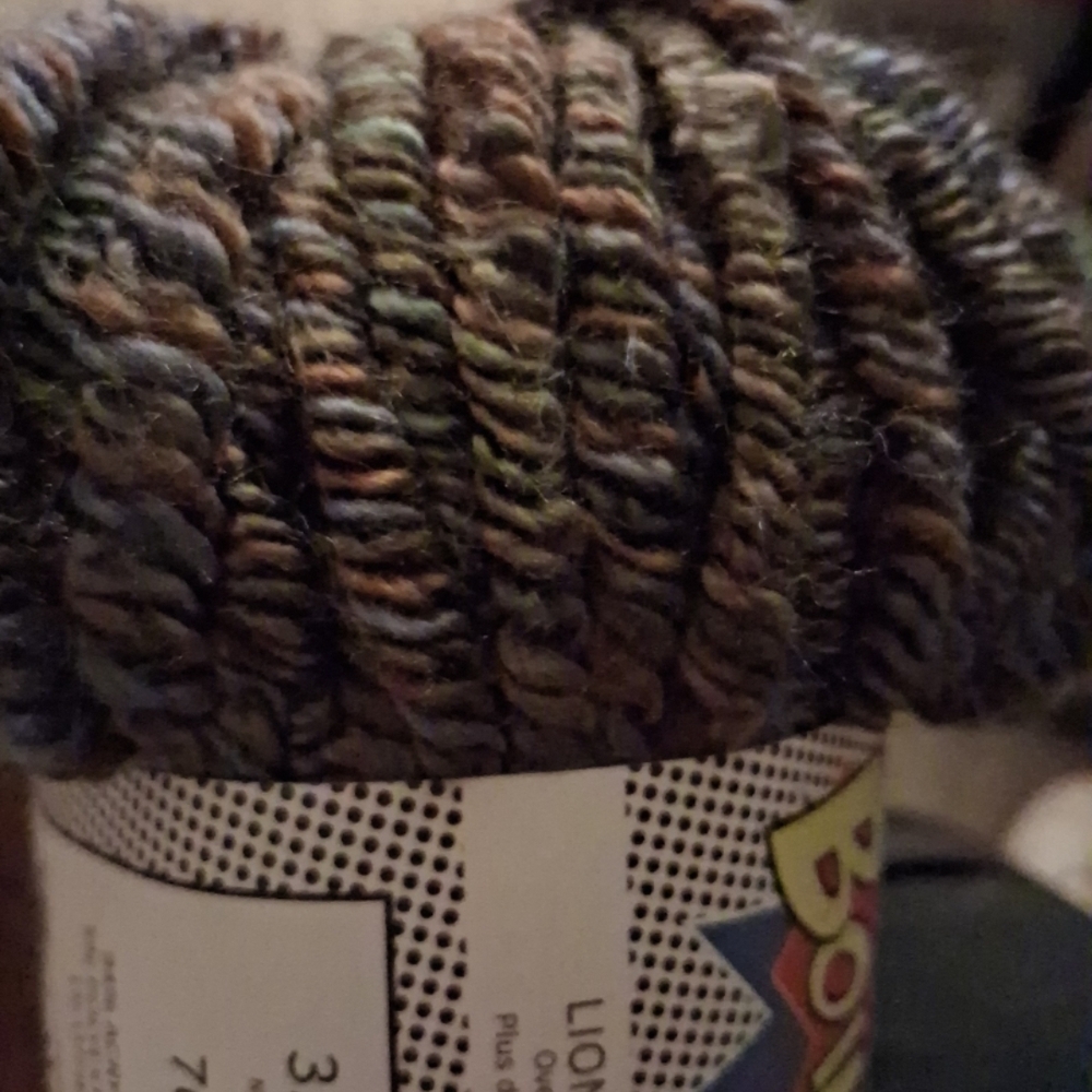 4 Skeins Lion Brand Multicolor Yarn